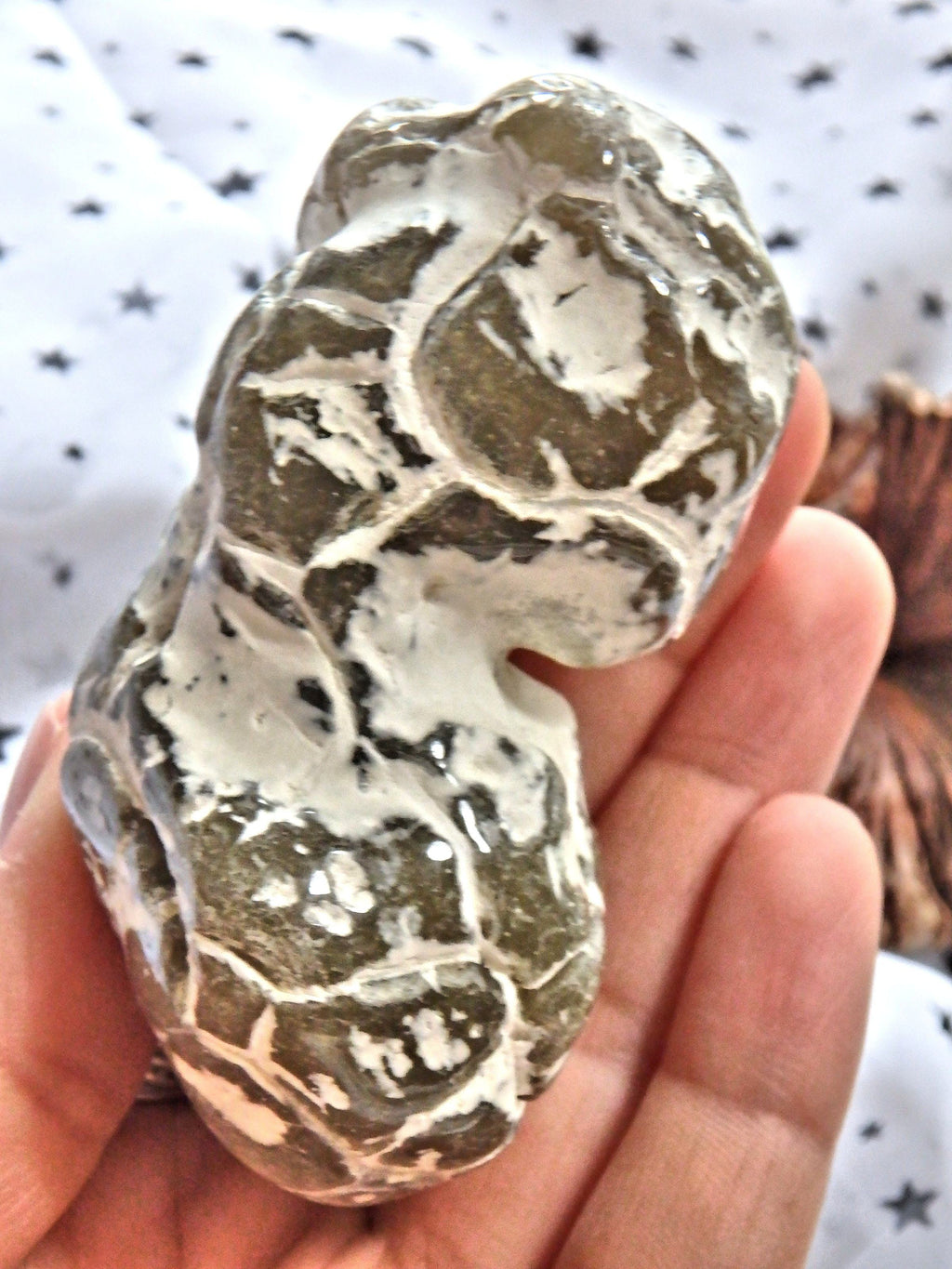 Double Agate Nodule Free Form  Alligator  Agate Specimen - Earth Family Crystals