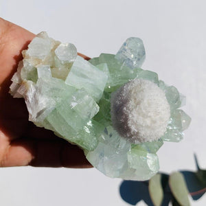 Rare Creamy White Mordenite Nestled in Green Apophyllite Matrix from India - Earth Family Crystals