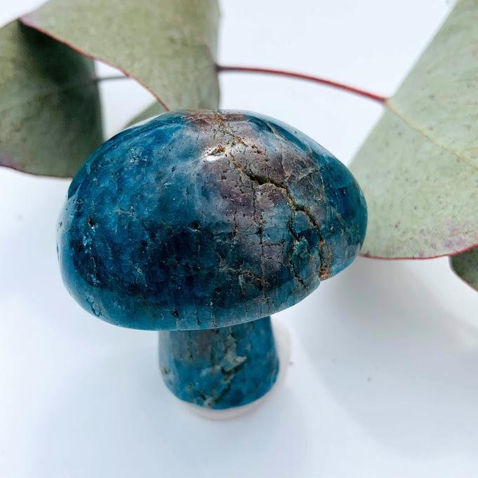 Cute Blue Apatite Mushroom Carving *REDUCED* - Earth Family Crystals