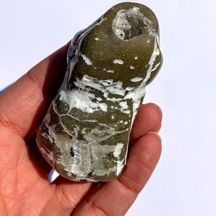 Partially Polished Alligator Agate Nodule From Arizona #1 - Earth Family Crystals