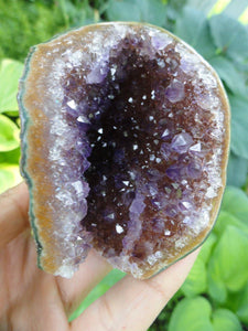 AMETHYST GEODE~ Stone of Protection, Freedom from Addictions* - Earth Family Crystals