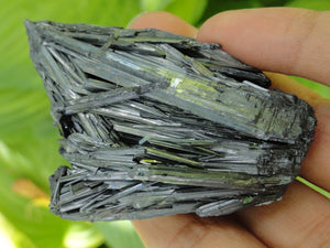 STIBNITE CLUSTER~ Stone of Transformation, New Opportunity, Great Wealth* - Earth Family Crystals