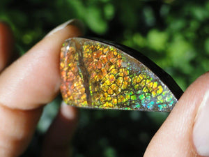 AMMOLITE CABOCHON - PERFECT TO WIRE WRAP - Earth Family Crystals