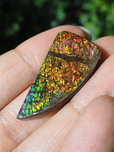 AMMOLITE CABOCHON - PERFECT TO WIRE WRAP - Earth Family Crystals