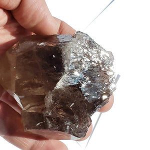 Large Incredible Brilliance Self Healed Multi Point Smoky Quartz Cluster From Brazil - Earth Family Crystals