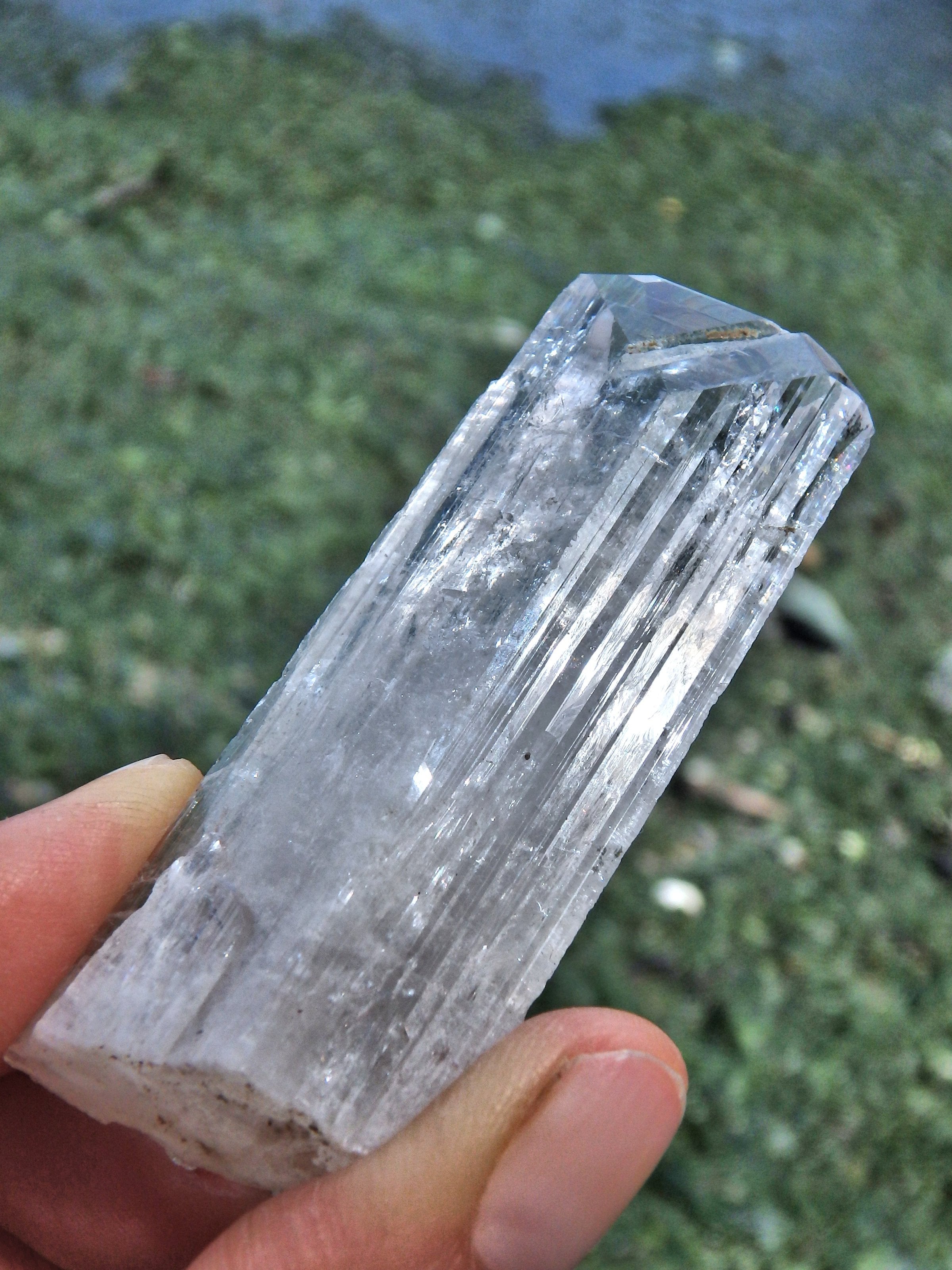 Extremely Brilliant Unpolished Clear Danburite Point From Mexico - Earth Family Crystals