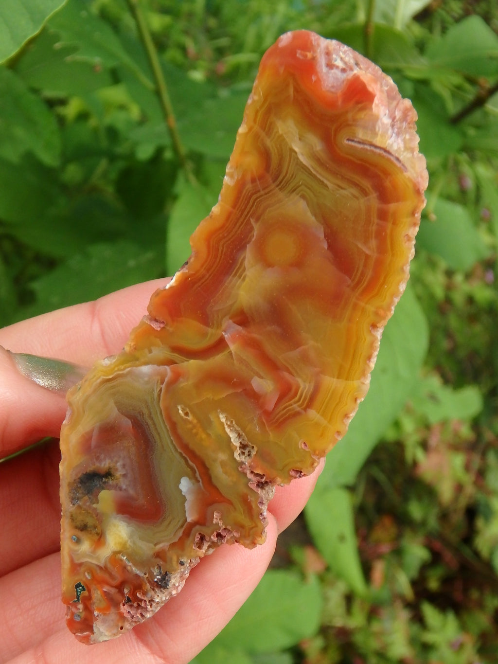 Vibrant Australian Landscape Desert Agate Partially Polished Specimen - Earth Family Crystals