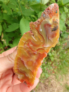 Vibrant Australian Landscape Desert Agate Partially Polished Specimen - Earth Family Crystals