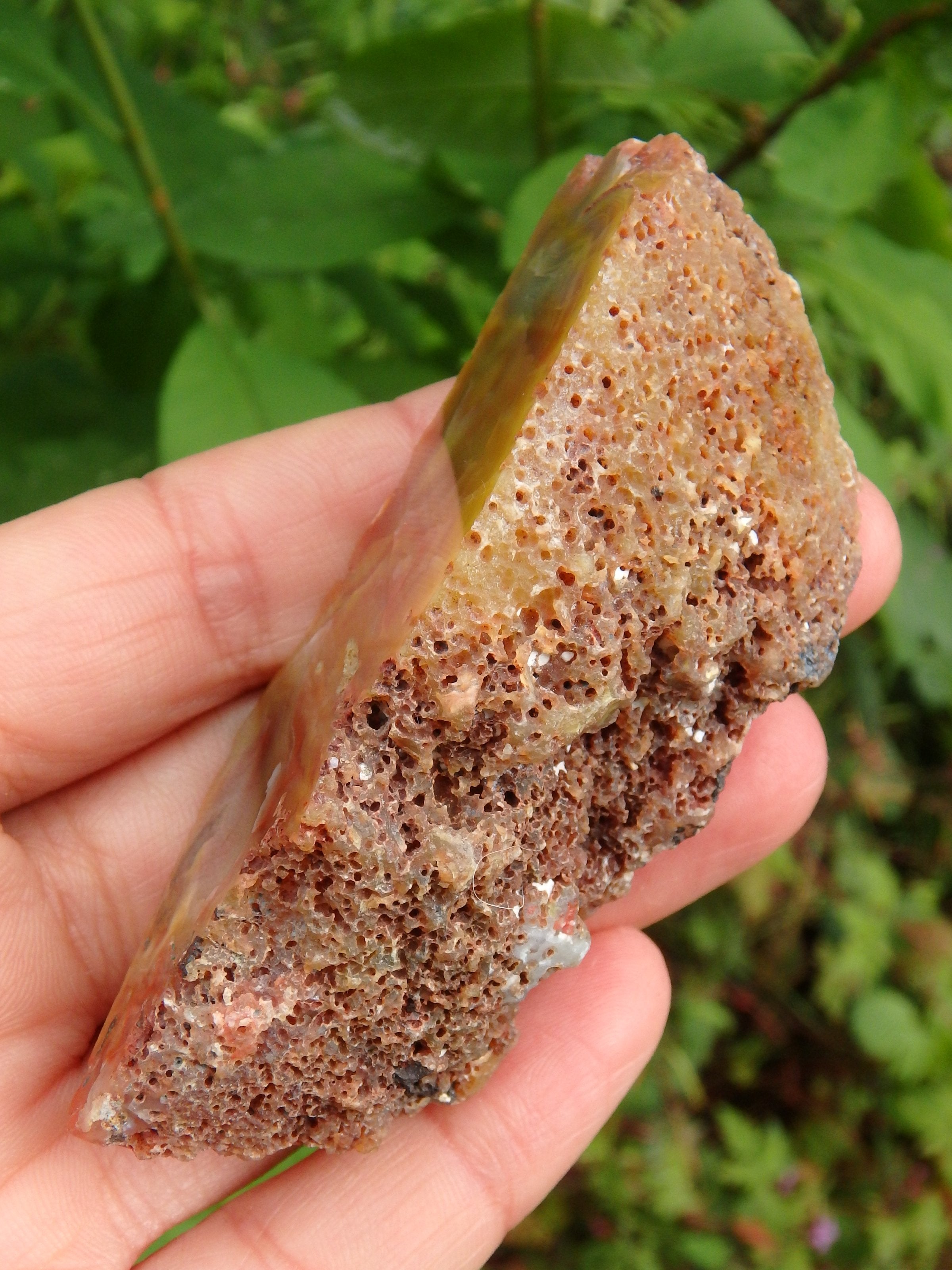 Vibrant Australian Landscape Desert Agate Partially Polished Specimen - Earth Family Crystals