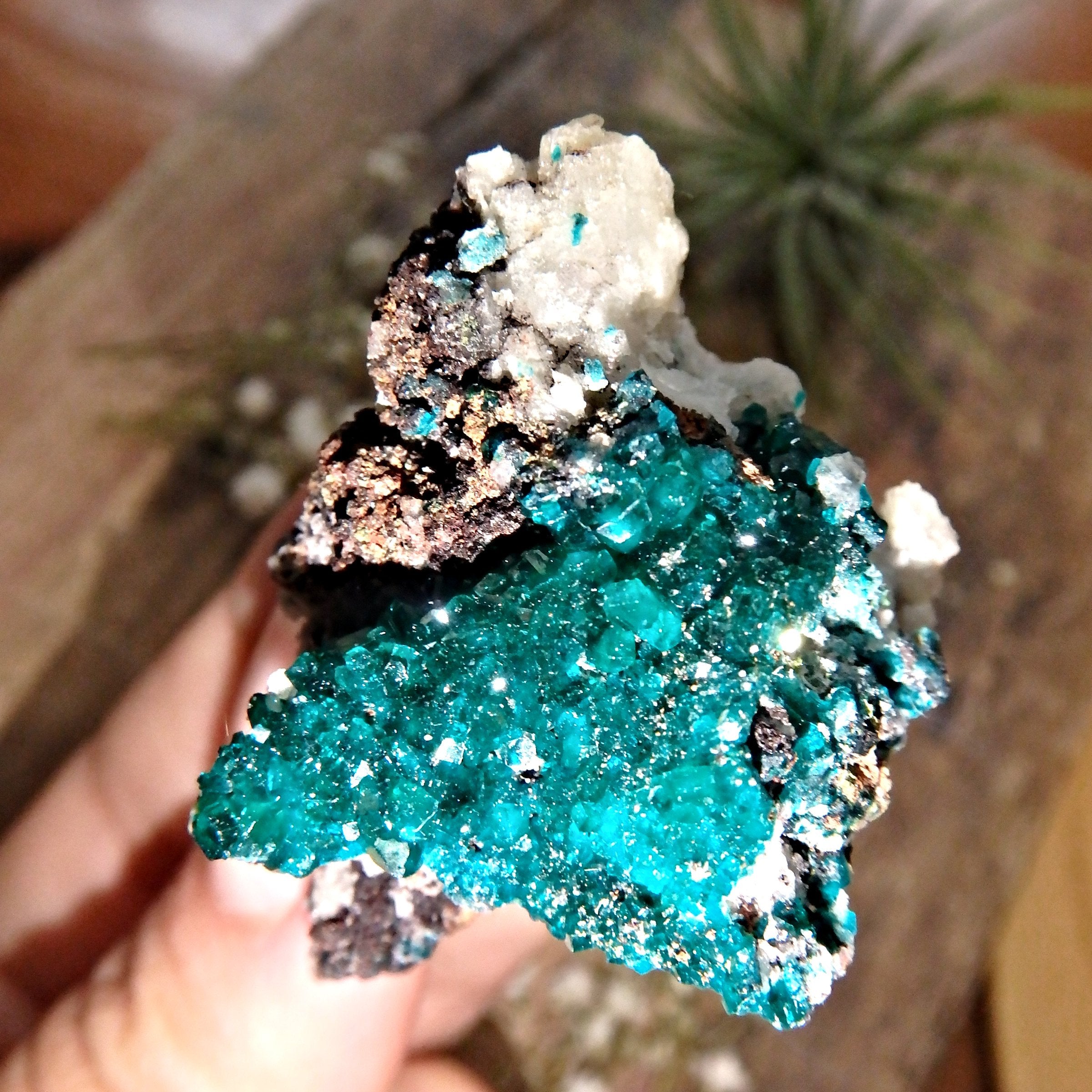 Fabulous Deep Turquoise Green Dioptase Collectors Specimen From Namibia - Earth Family Crystals
