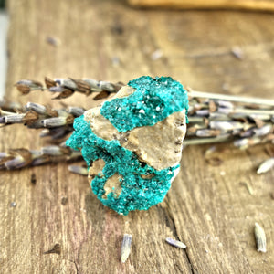 Rare Druzy Dioptase Dainty Collectors Specimen - Earth Family Crystals