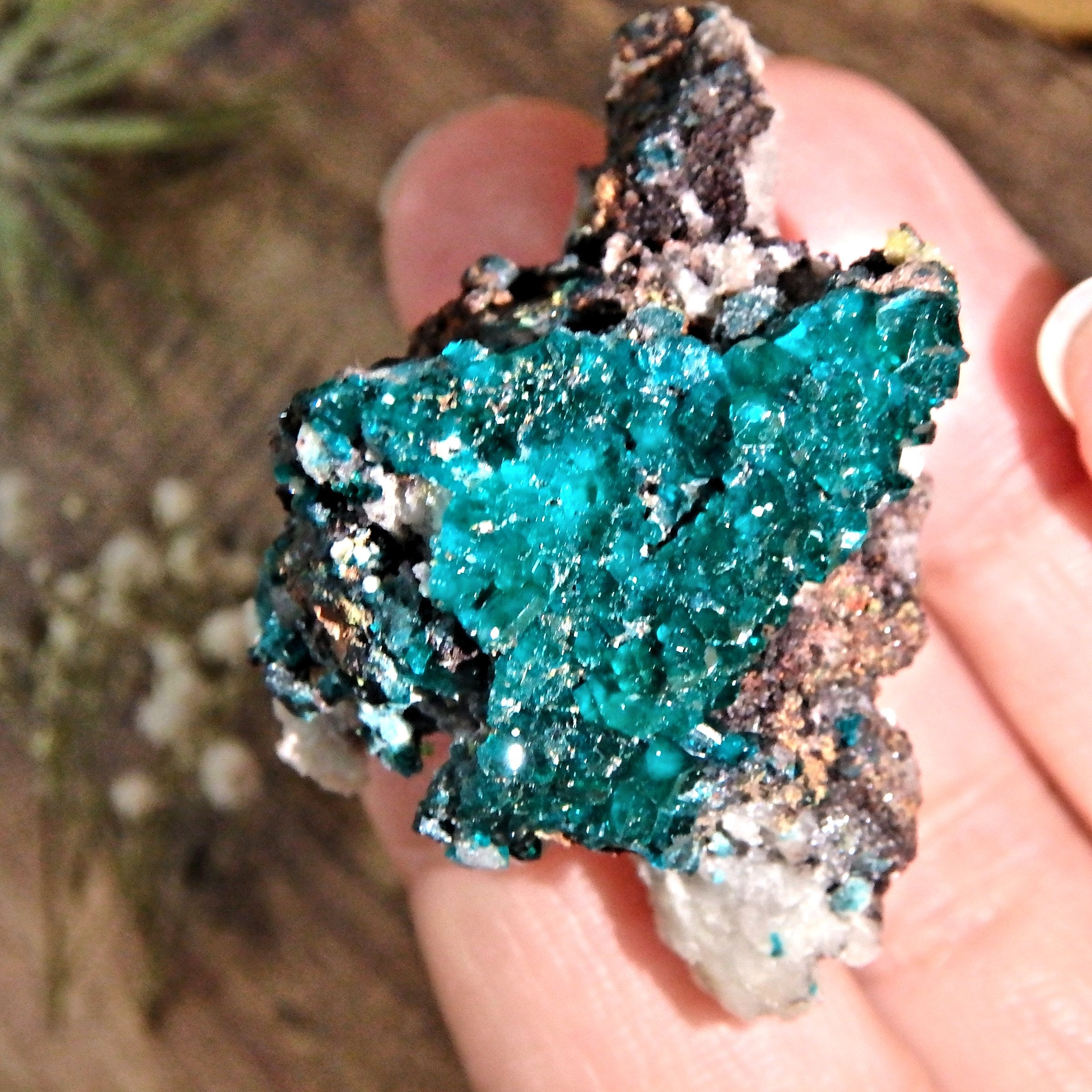 Fabulous Deep Turquoise Green Dioptase Collectors Specimen From Namibia - Earth Family Crystals