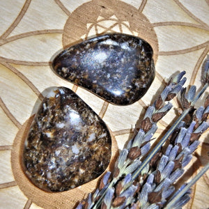 Set of 2 Dravite Tumbled Pocket Stones