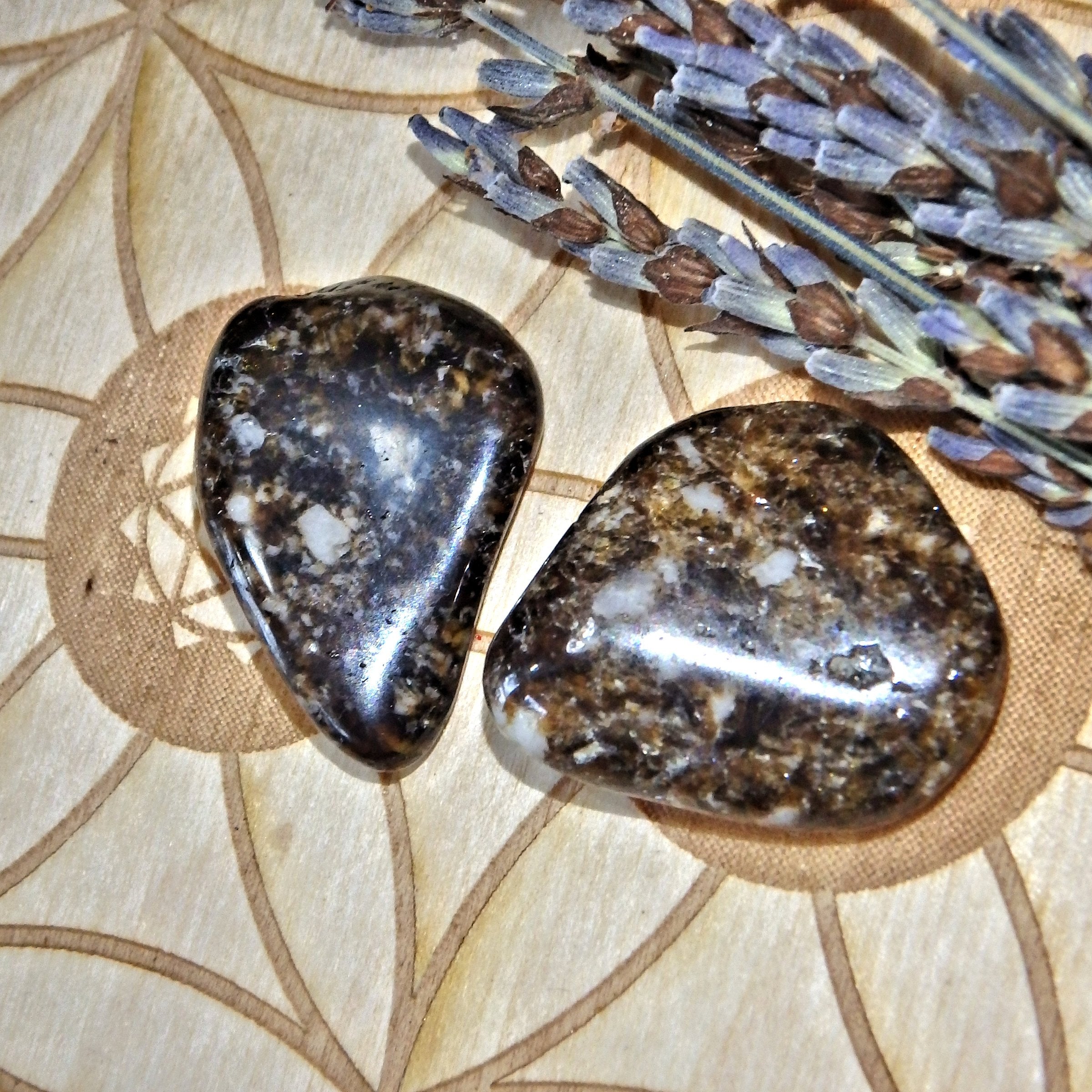 Set of 2 Dravite Tumbled Pocket Stones