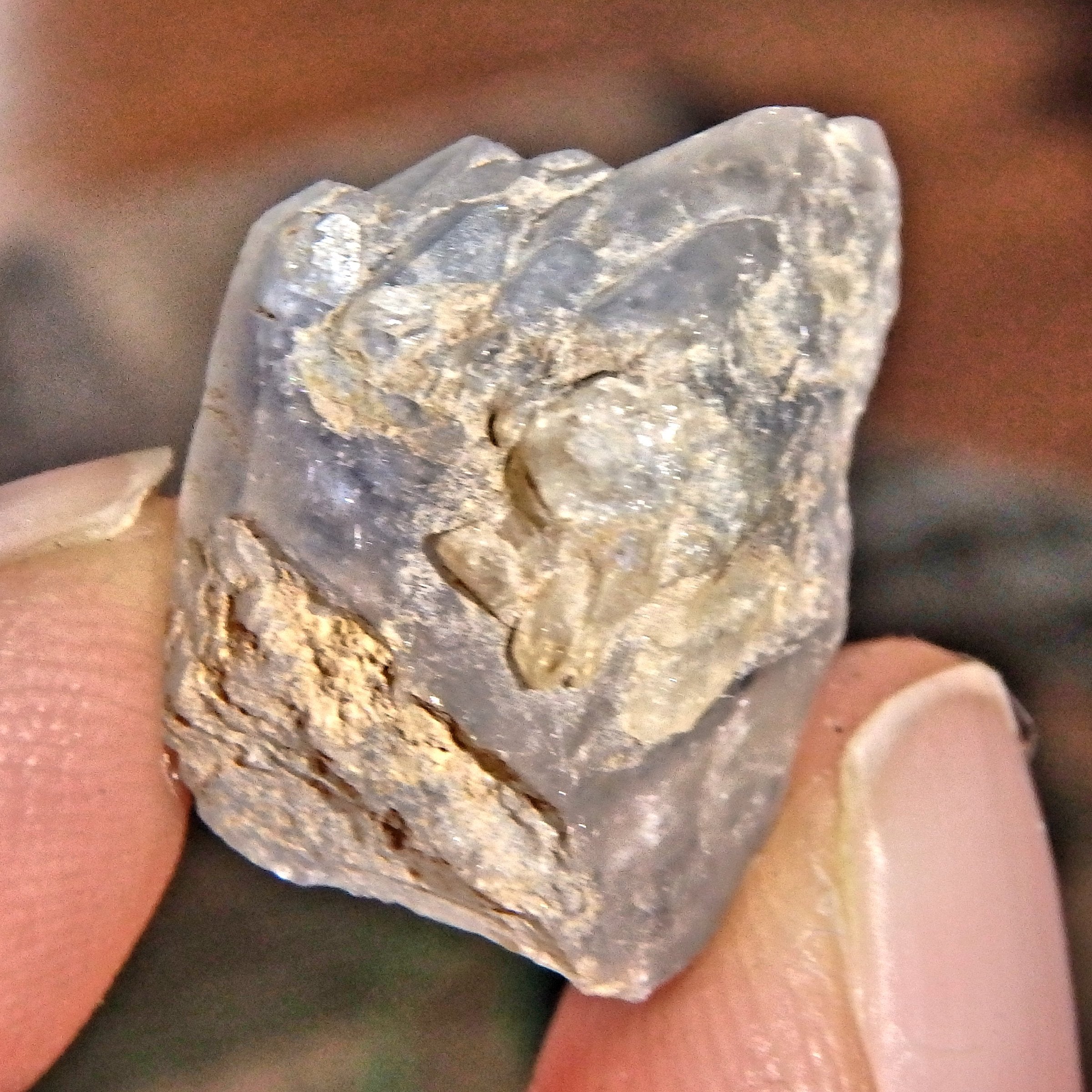 Rare Elestial Mini Dumortierite Collectors Specimen From Brazil - Earth Family Crystals