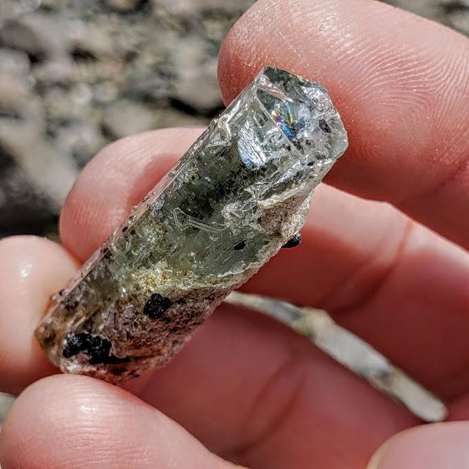 Gemmy Collectors Aquamarine & Black Tourmaline Point From South Africa - Earth Family Crystals