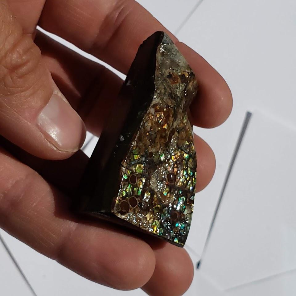 Chunky Alberta Ammolite Fossil Free Form Hand Held Specimen #3 - Earth Family Crystals