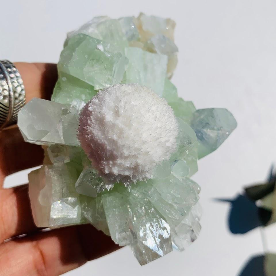 Rare Creamy White Mordenite Nestled in Green Apophyllite Matrix from India - Earth Family Crystals