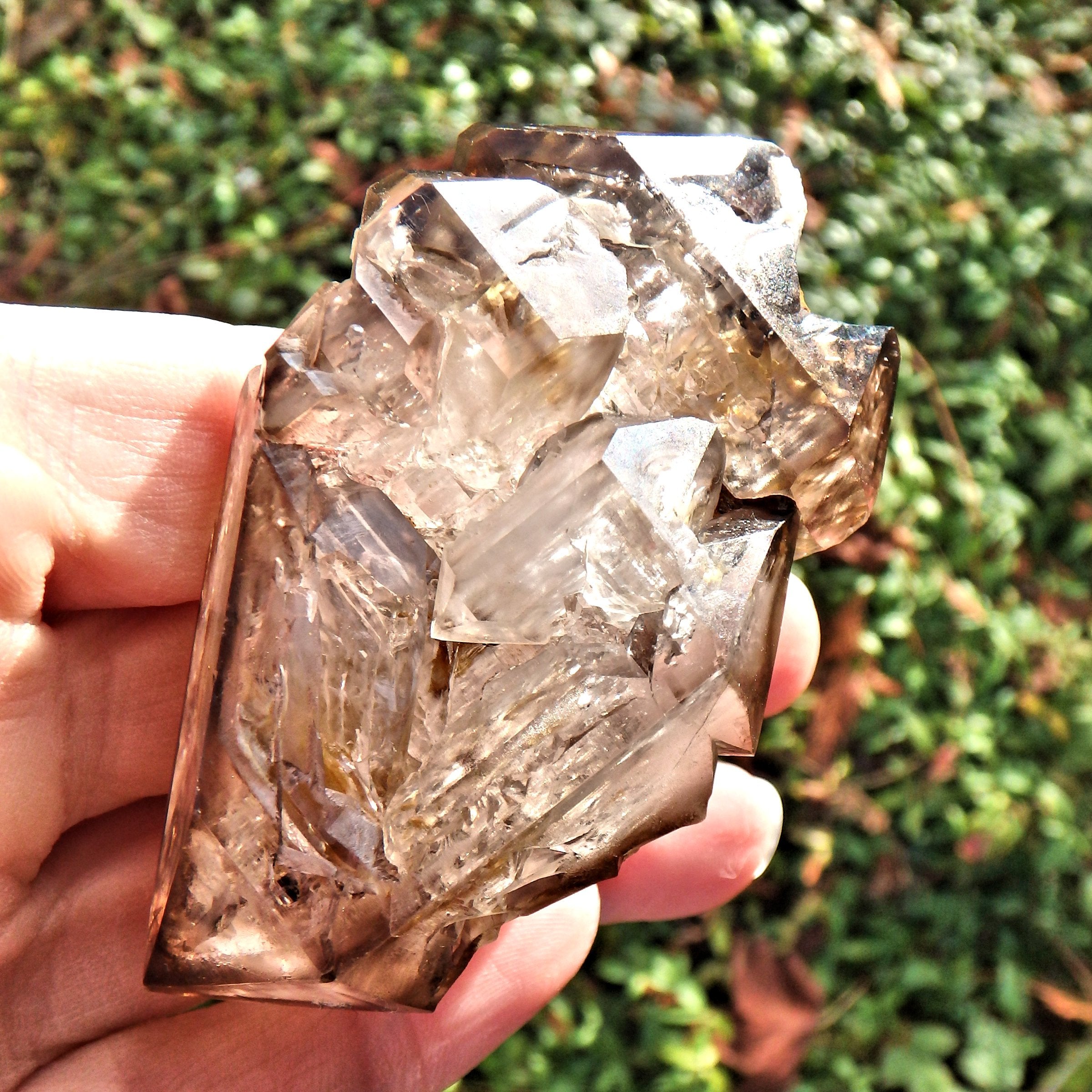 HIgh Vibration Double Terminated  Elestial Smoky Quartz From Brazil With Self Healing - Earth Family Crystals