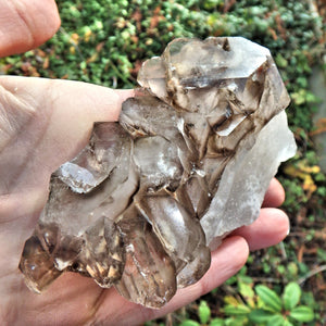 Incredible Chunky  Clear & Elestial Smoky Quartz From Brazil With Self Healing