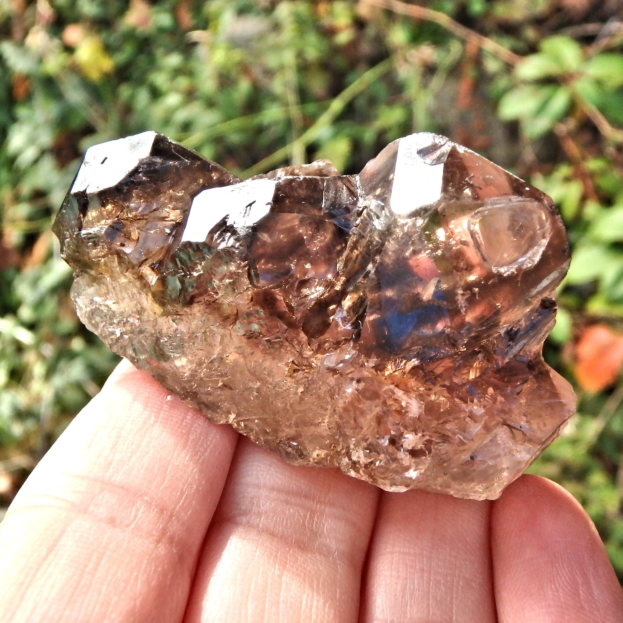 Nice Formation Dark Brown  Elestial Smoky Quartz From Brazil - Earth Family Crystals