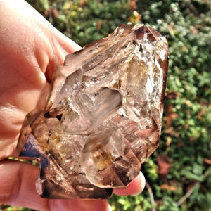 HIgh Vibration Double Terminated  Elestial Smoky Quartz From Brazil With Self Healing - Earth Family Crystals