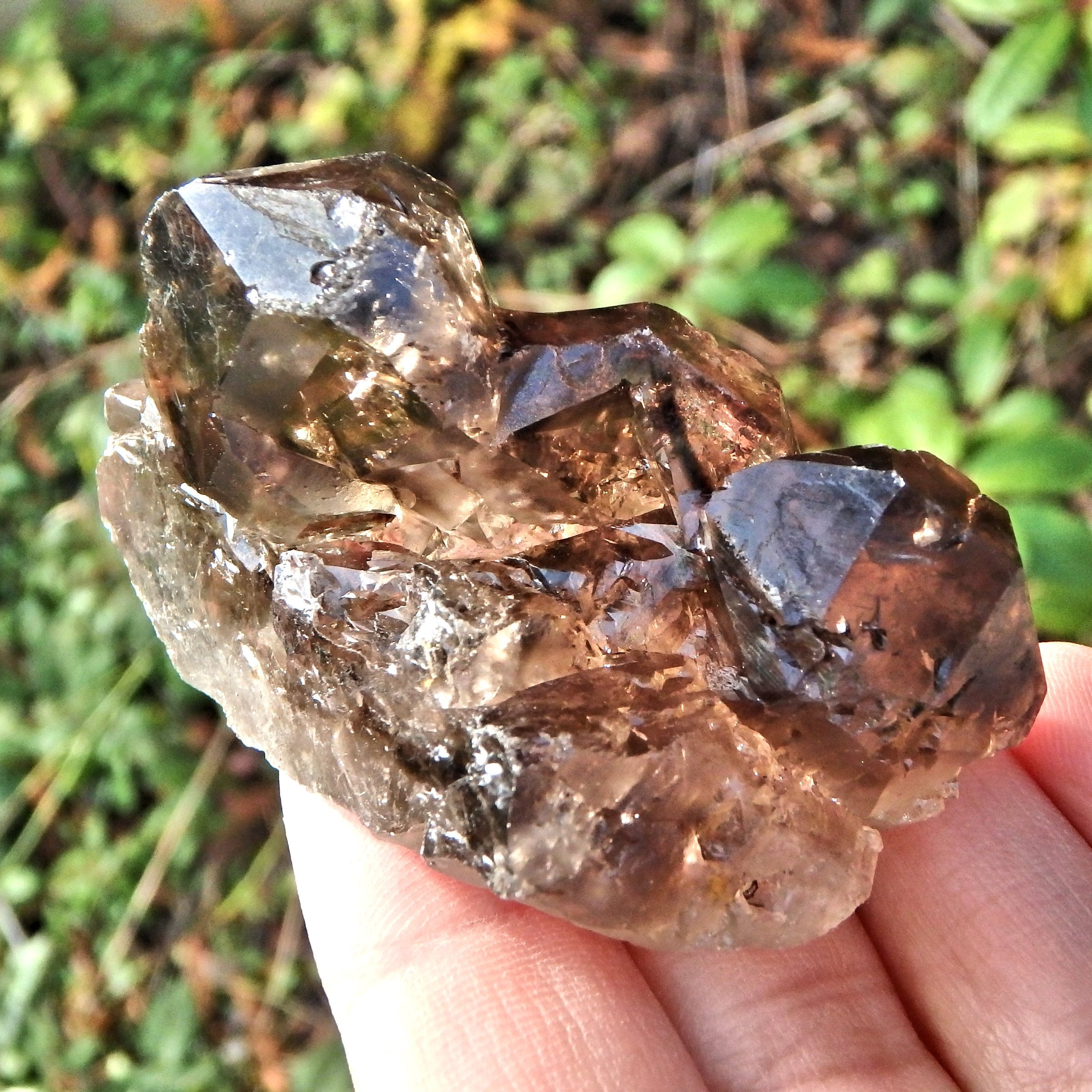Nice Formation Dark Brown  Elestial Smoky Quartz From Brazil - Earth Family Crystals