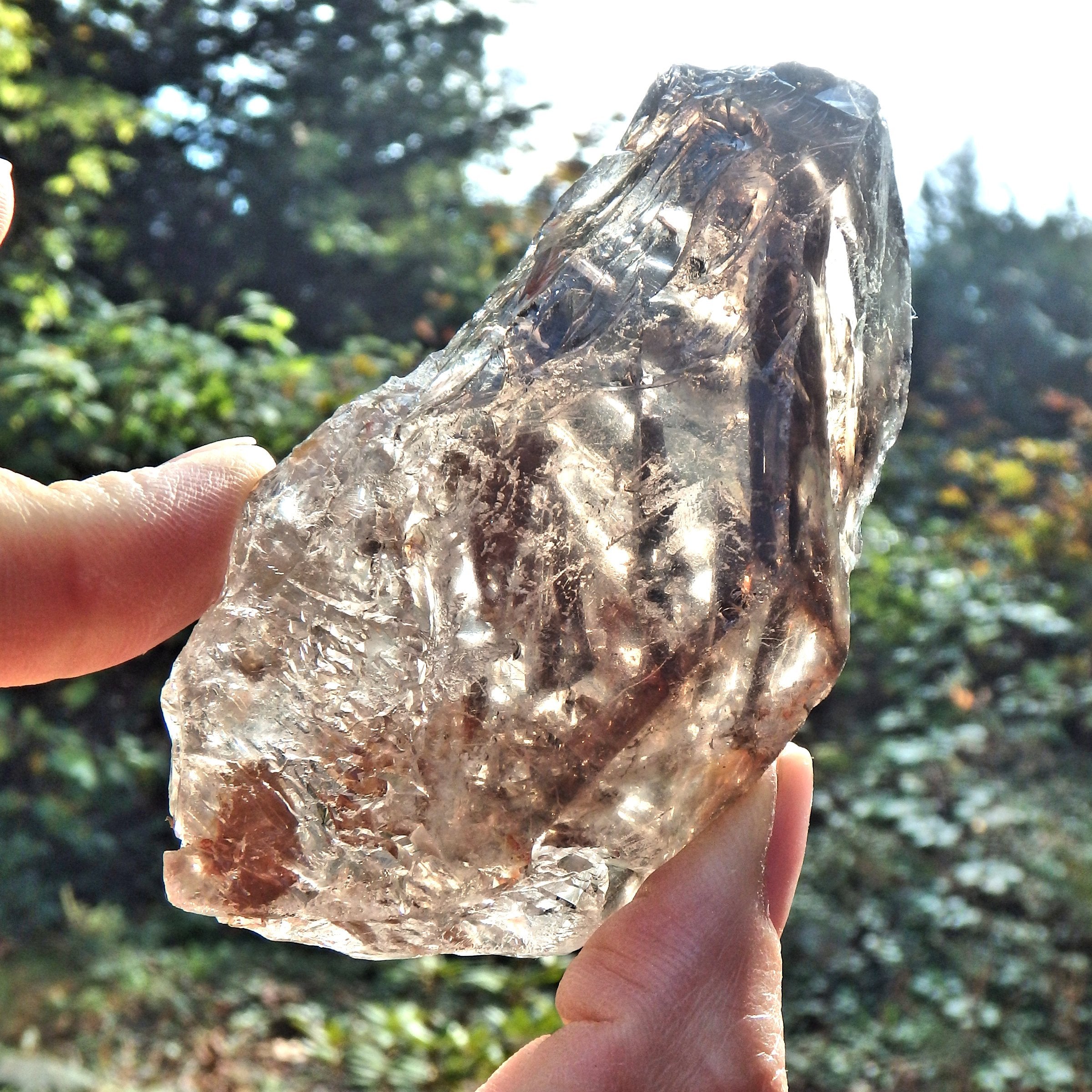 Fantastic Growth Patterns  Elestial Smoky Quartz From Brazil - Earth Family Crystals
