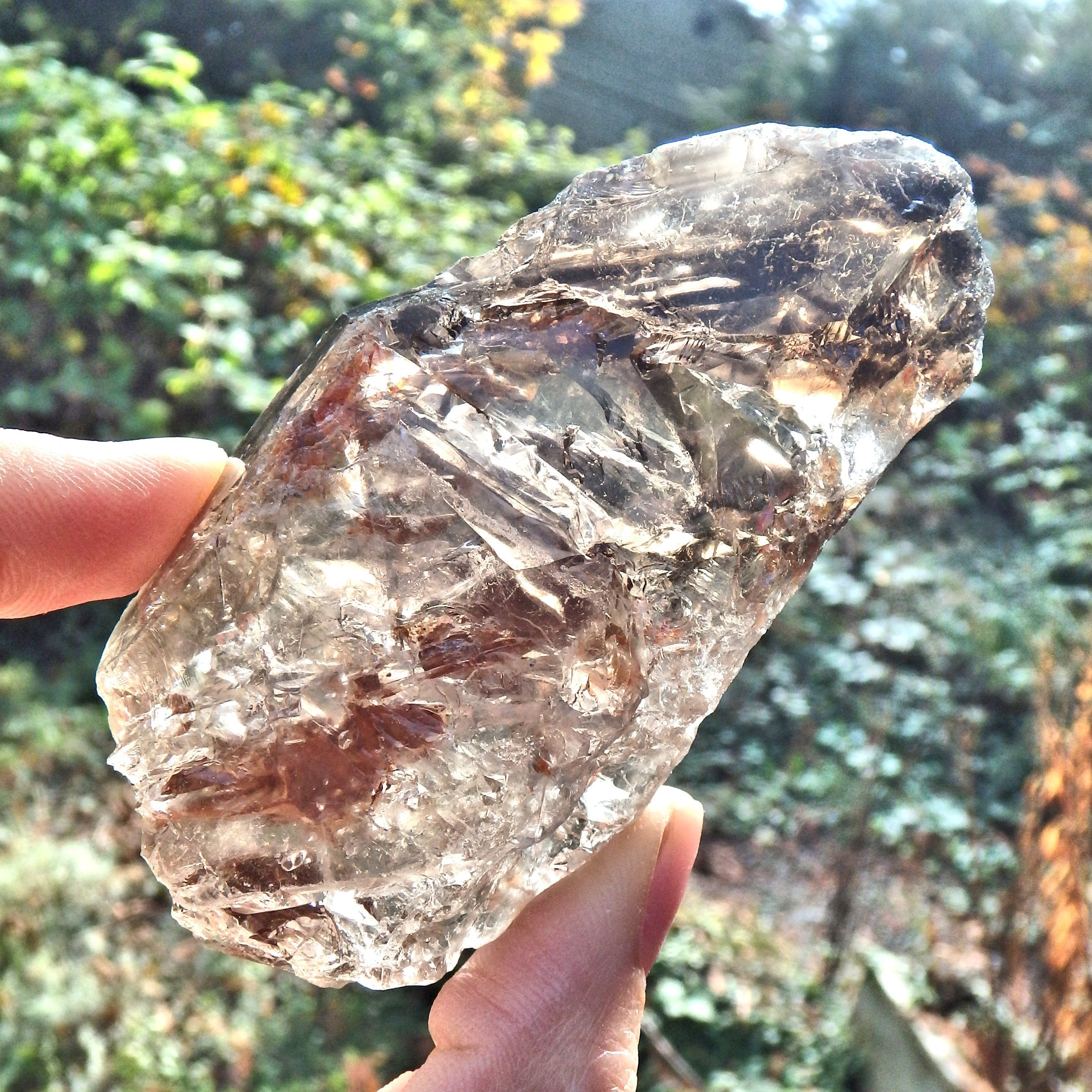 Fantastic Growth Patterns  Elestial Smoky Quartz From Brazil - Earth Family Crystals