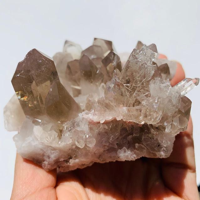 Incredible Rutilated Smoky Quartz Large Druzy Cluster From Brazil