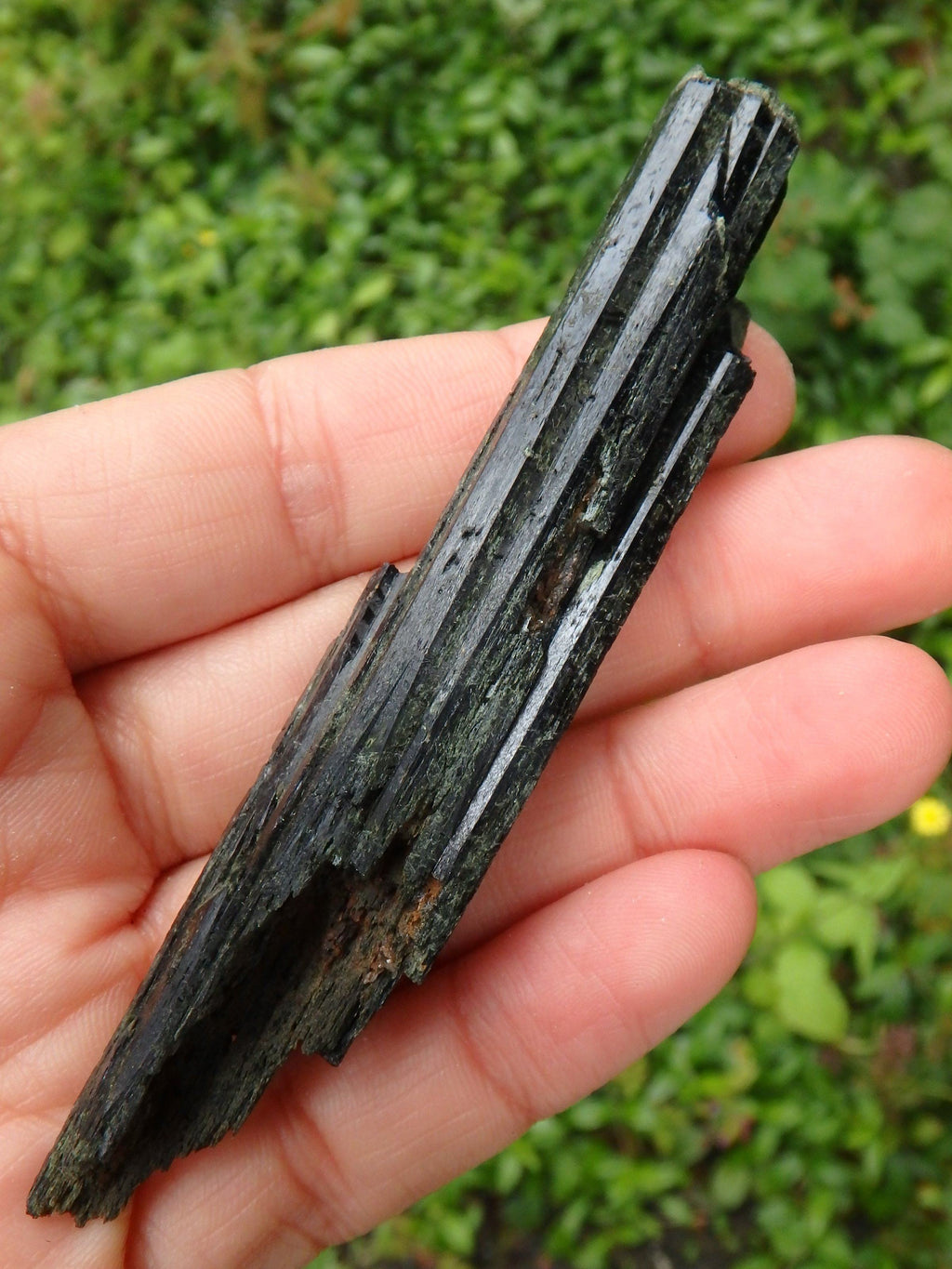 Deep Forest Green Epidote Point Natural Specimen - Earth Family Crystals