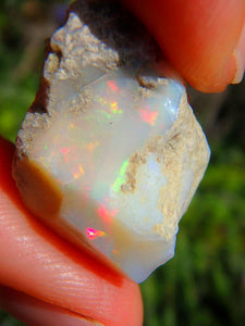 Rainbow Flashes Ethiopian Opal Raw Collectors Stone