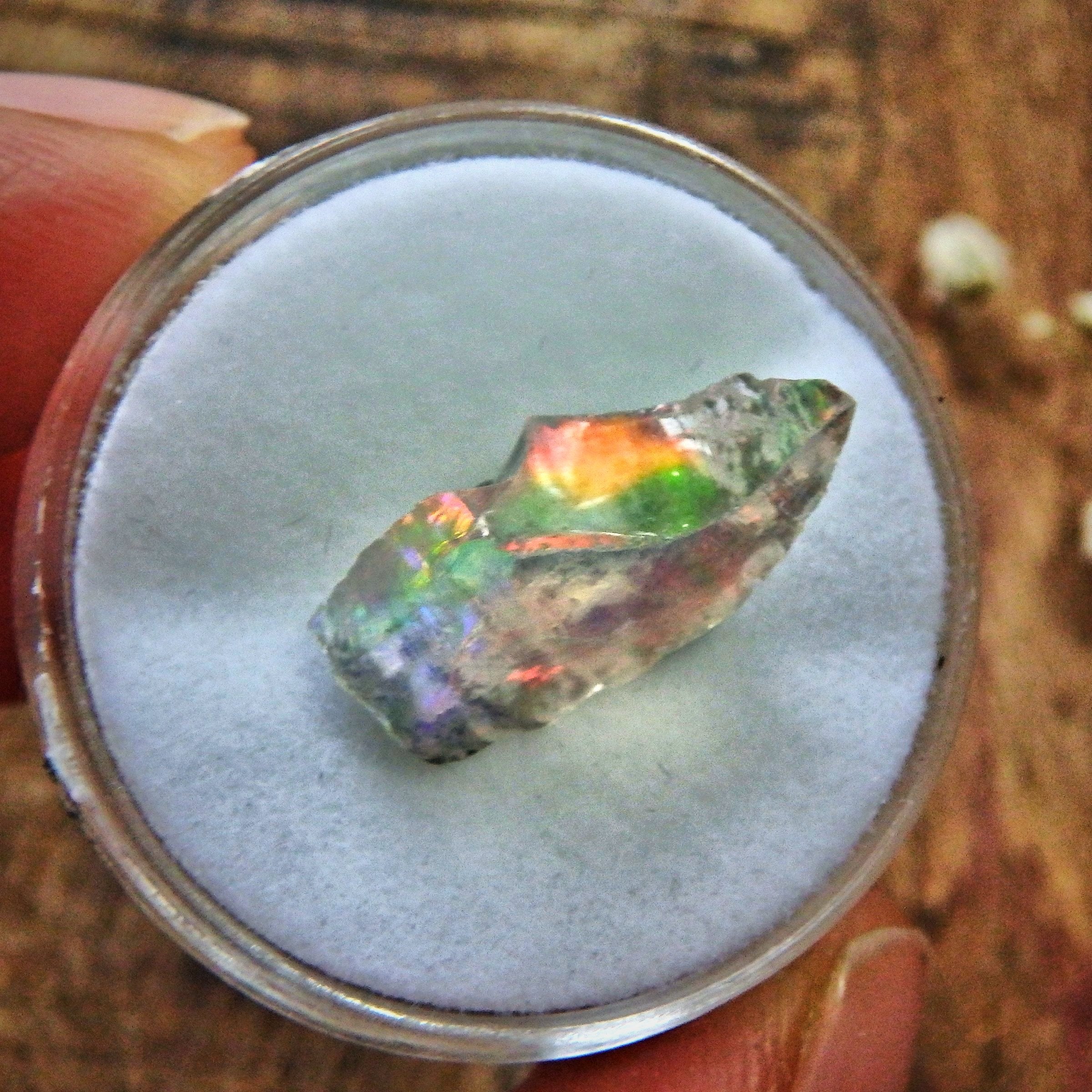 Rainbow Flashes Raw Ethiopian Opal in Collectors Box