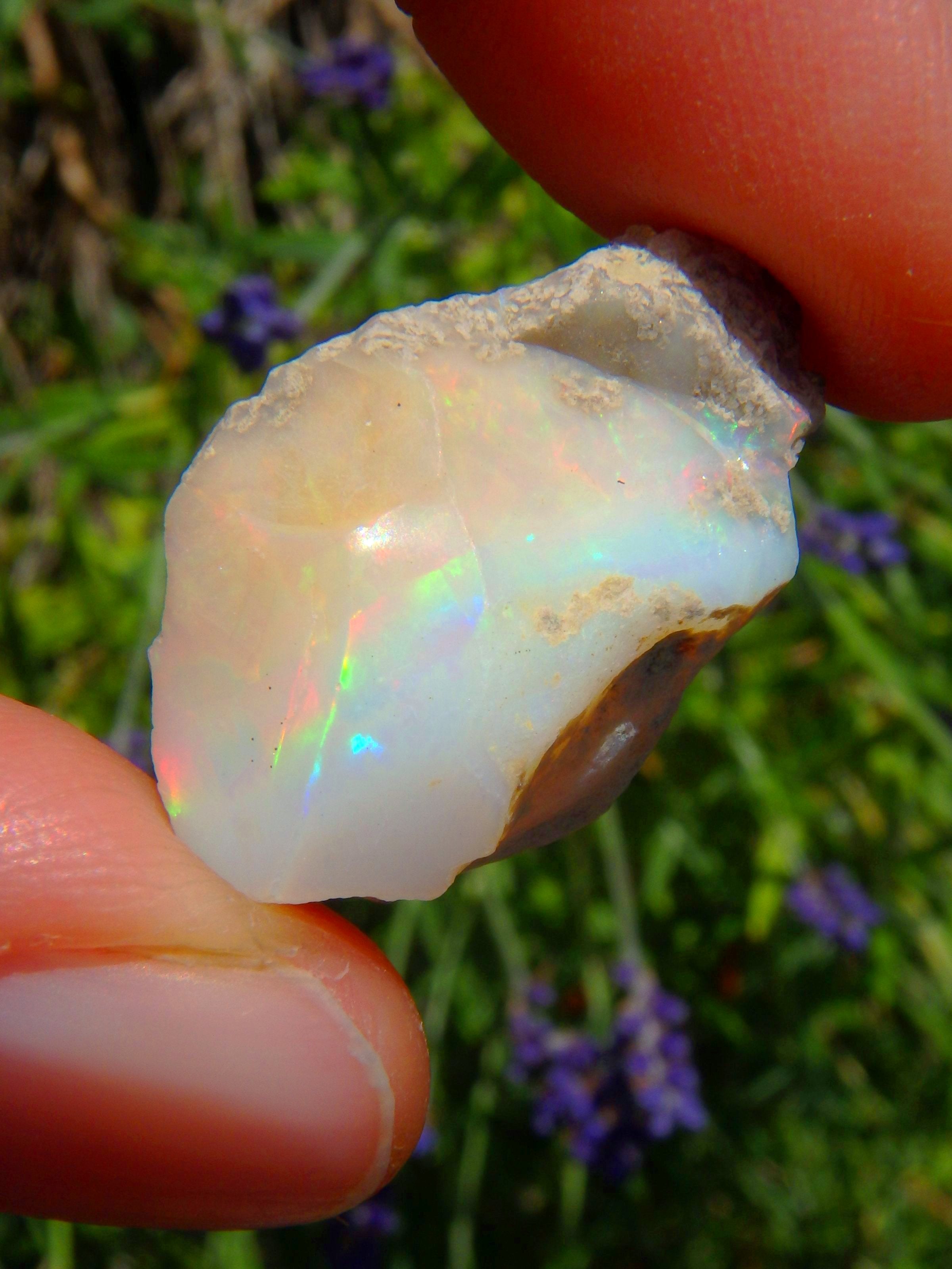 Rainbow Flashes Ethiopian Opal Raw Collectors Stone