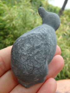 Special Birdy Fairy Stone  Natural Specimen From Quebec, Canada