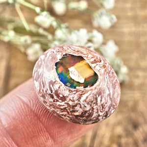 Sparkling Mexican Fire Opal Button Cabochon #6