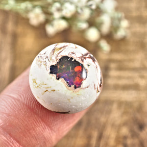 Sparkling Mexican Fire Opal Button Cabochon #9