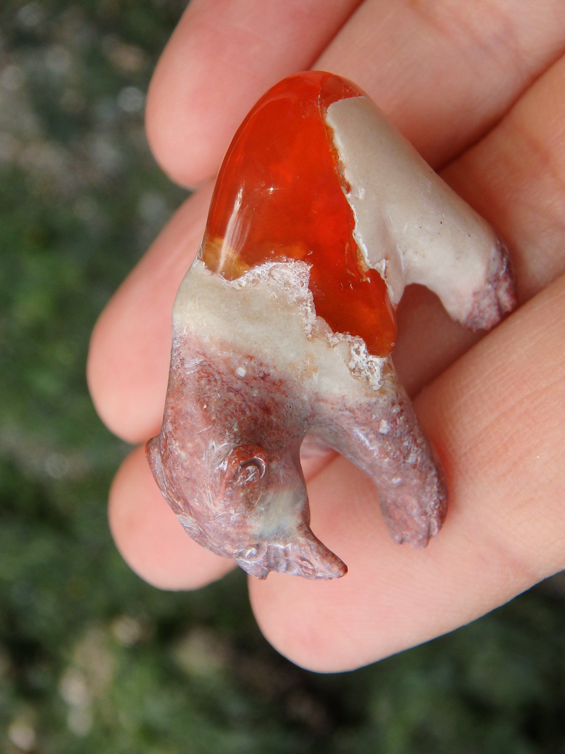 Cute Bear & Fish Mexican Fire Opal Carving - Earth Family Crystals