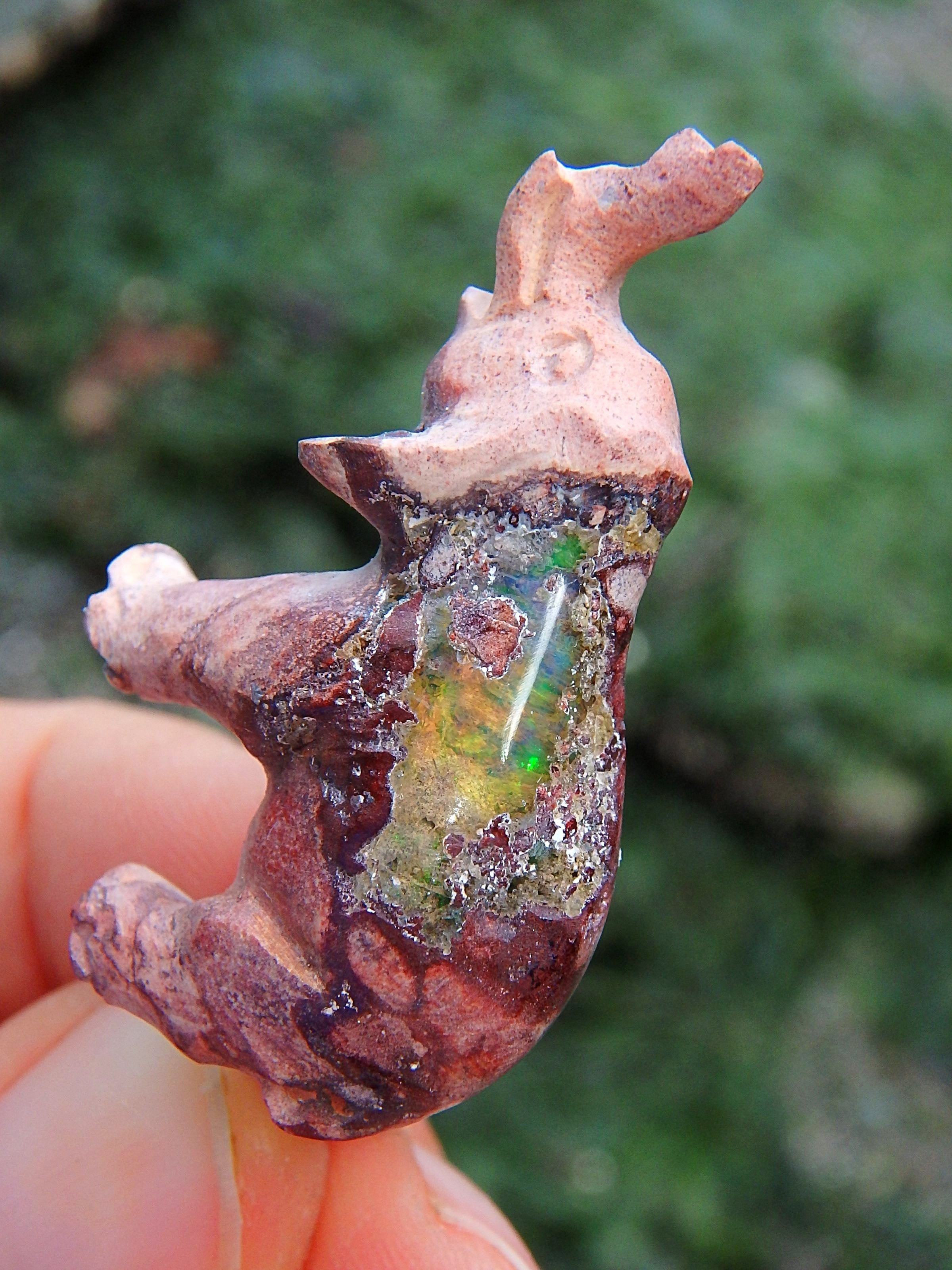Blue & Green Flashes Mexican Fire Opal Elephant Carving - Earth Family Crystals