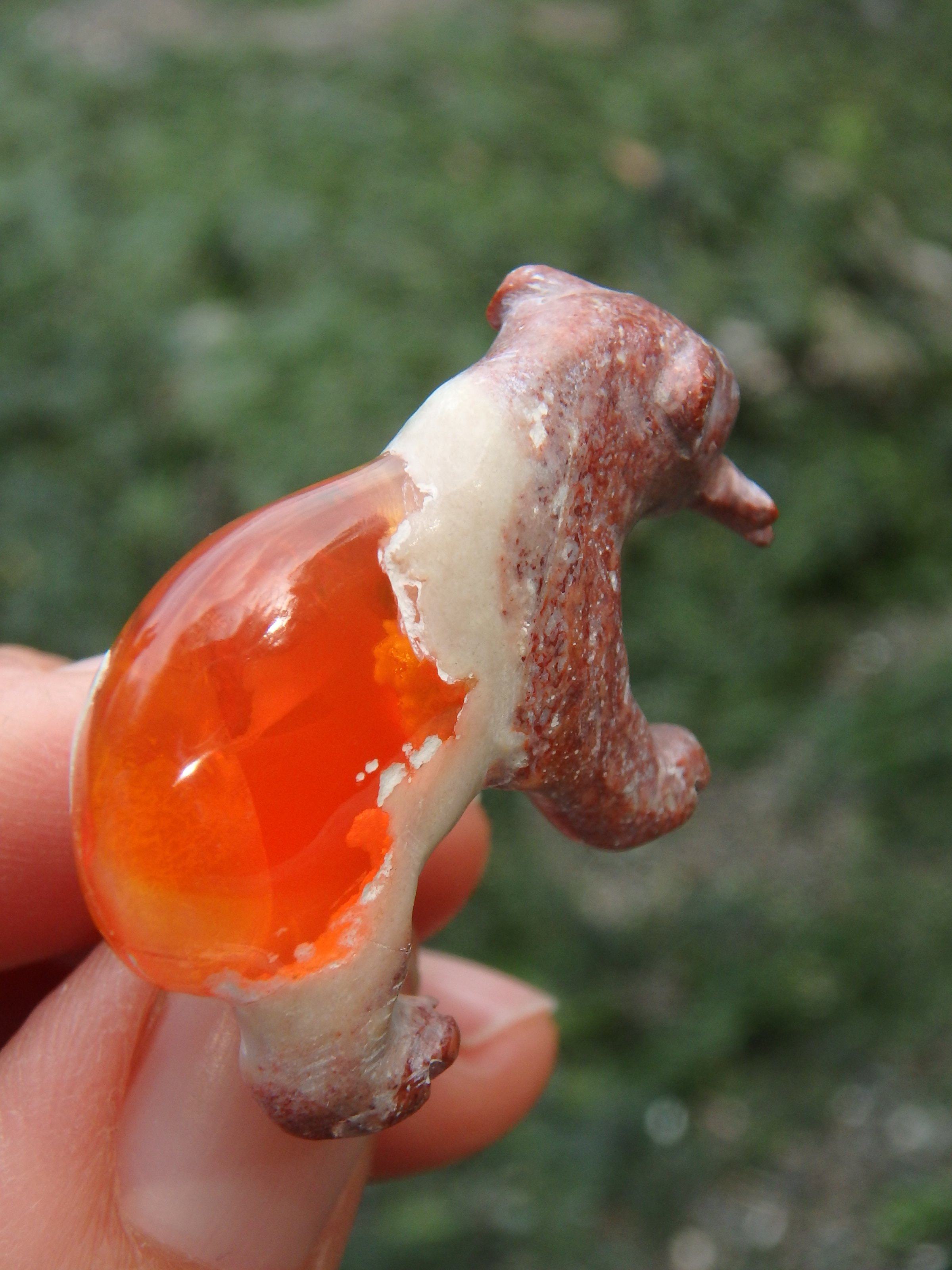 Cute Bear & Fish Mexican Fire Opal Carving - Earth Family Crystals