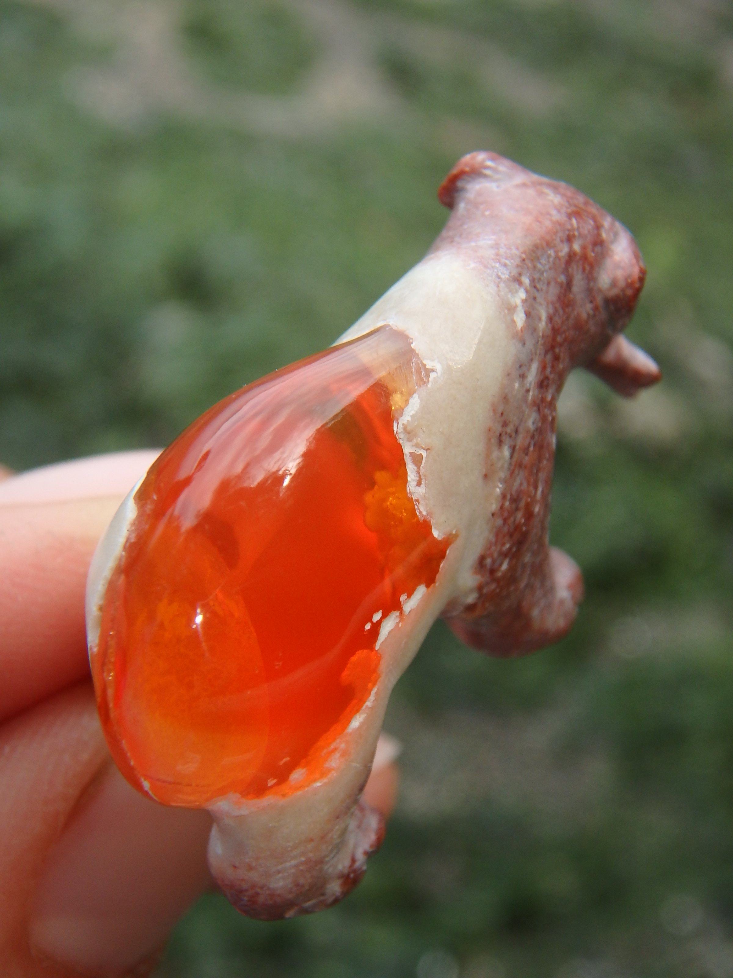Cute Bear & Fish Mexican Fire Opal Carving - Earth Family Crystals