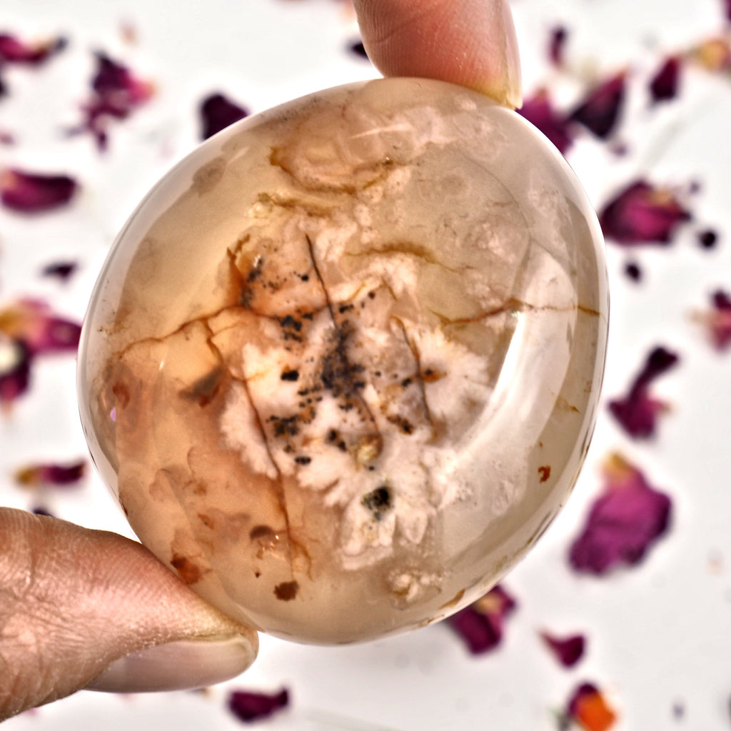 NEW! Creamy Pink & Clear Small  Flower Agate Palm Stone From Madagascar #2 - Earth Family Crystals