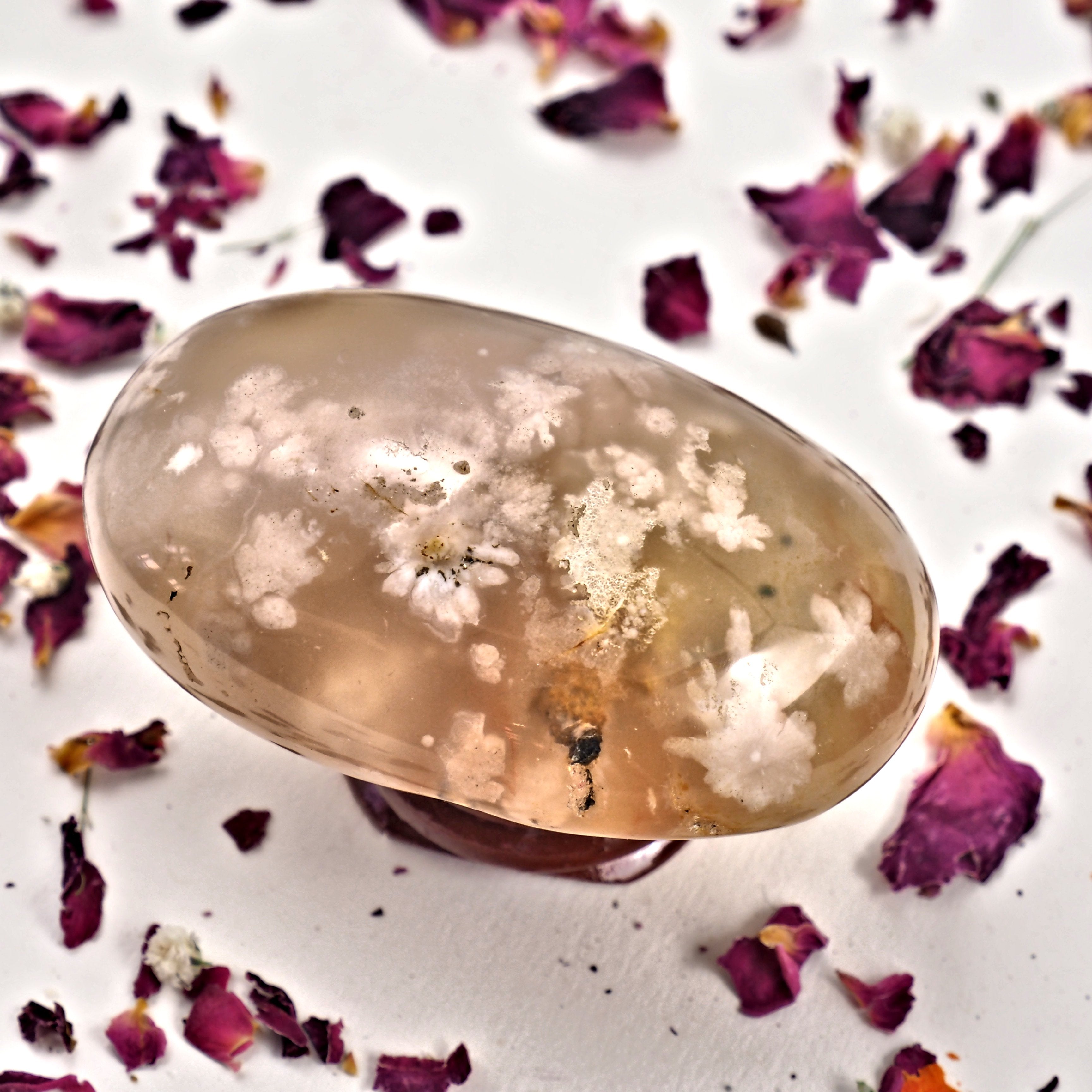 NEW! Creamy Pink & Clear Medium Flower Agate Palm Stone From Madagascar #5 - Earth Family Crystals