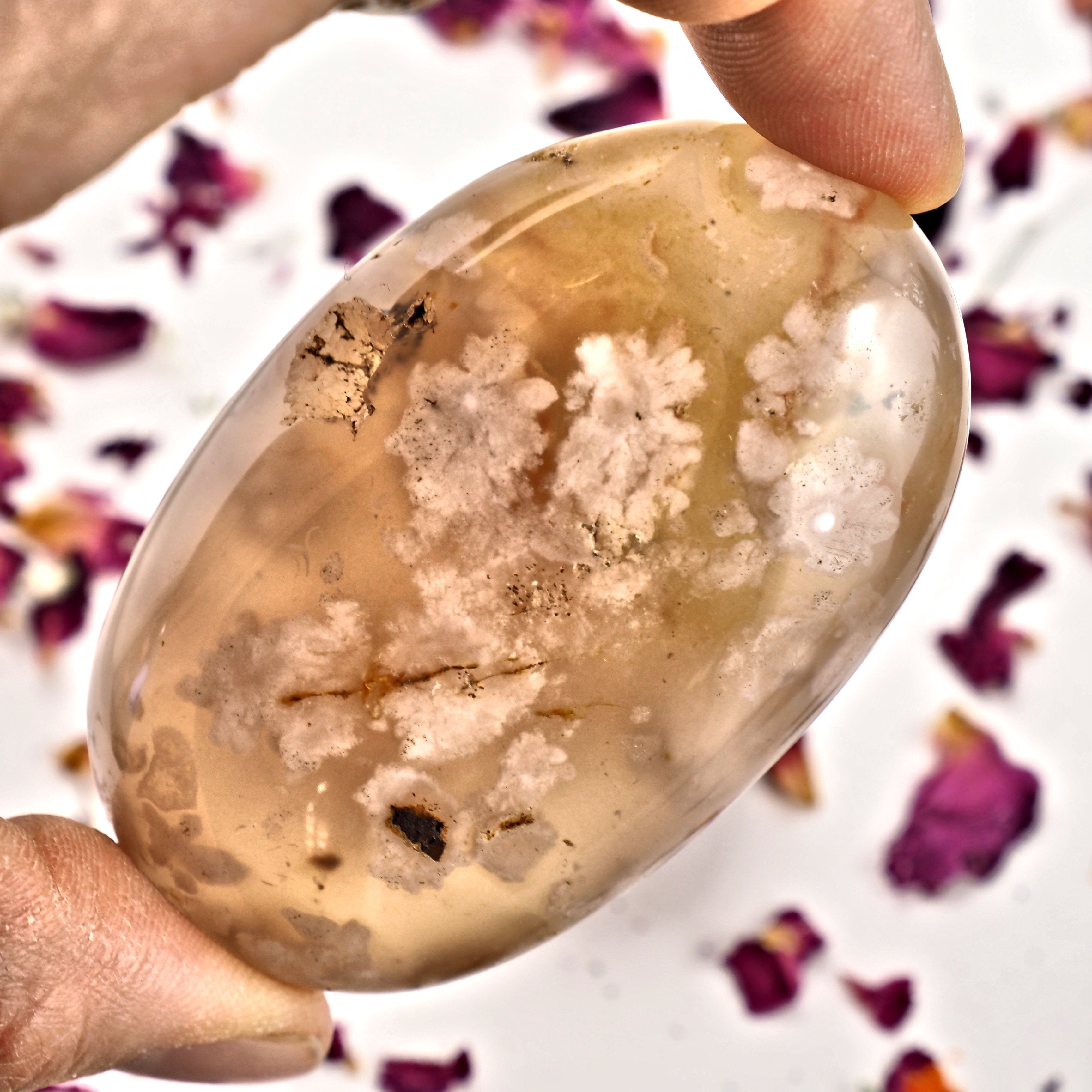 NEW! Creamy Pink & Clear Medium Flower Agate Palm Stone From Madagascar #5 - Earth Family Crystals