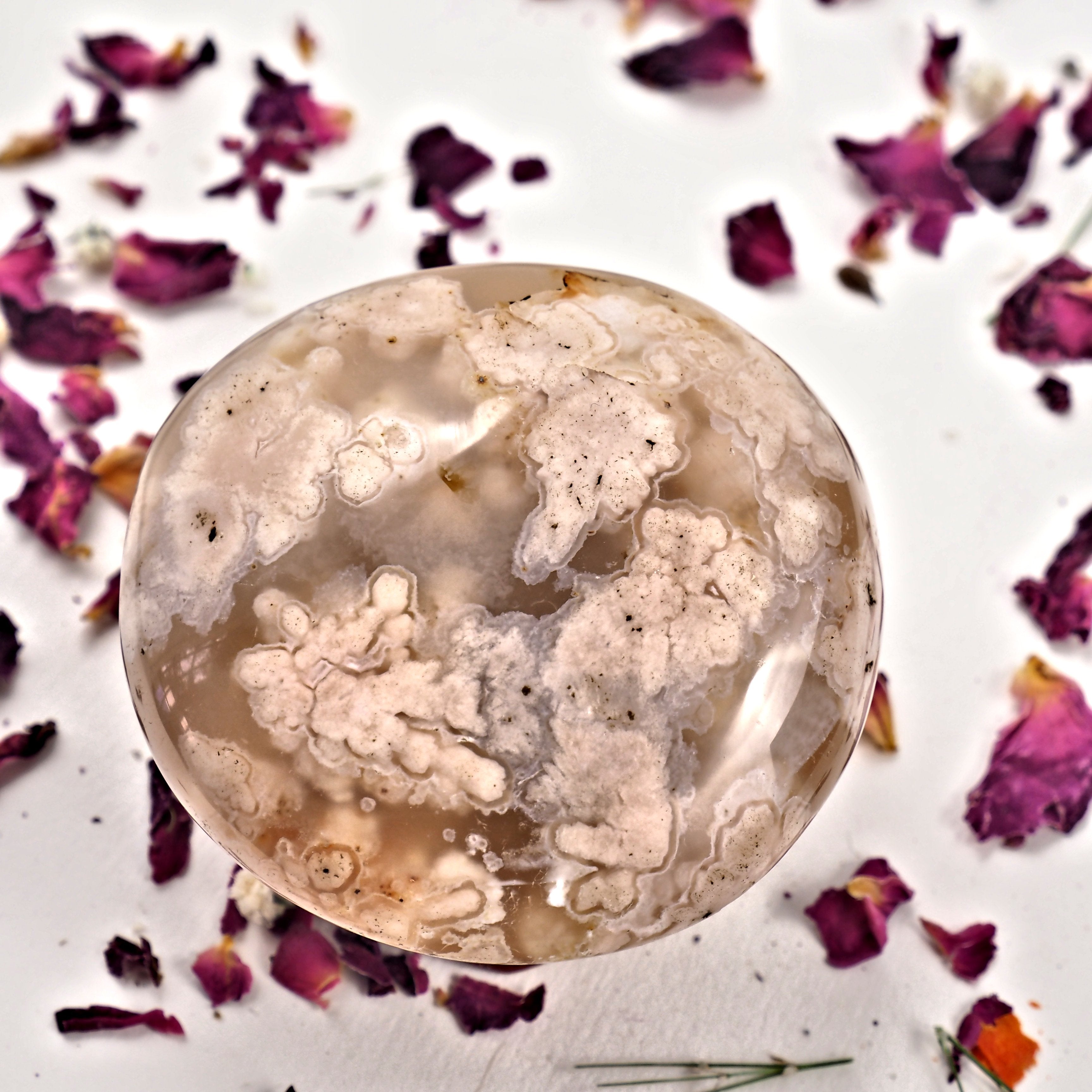 NEW! Creamy Pink & Clear Medium Flower Agate Palm Stone With Cave From Madagascar #4 - Earth Family Crystals