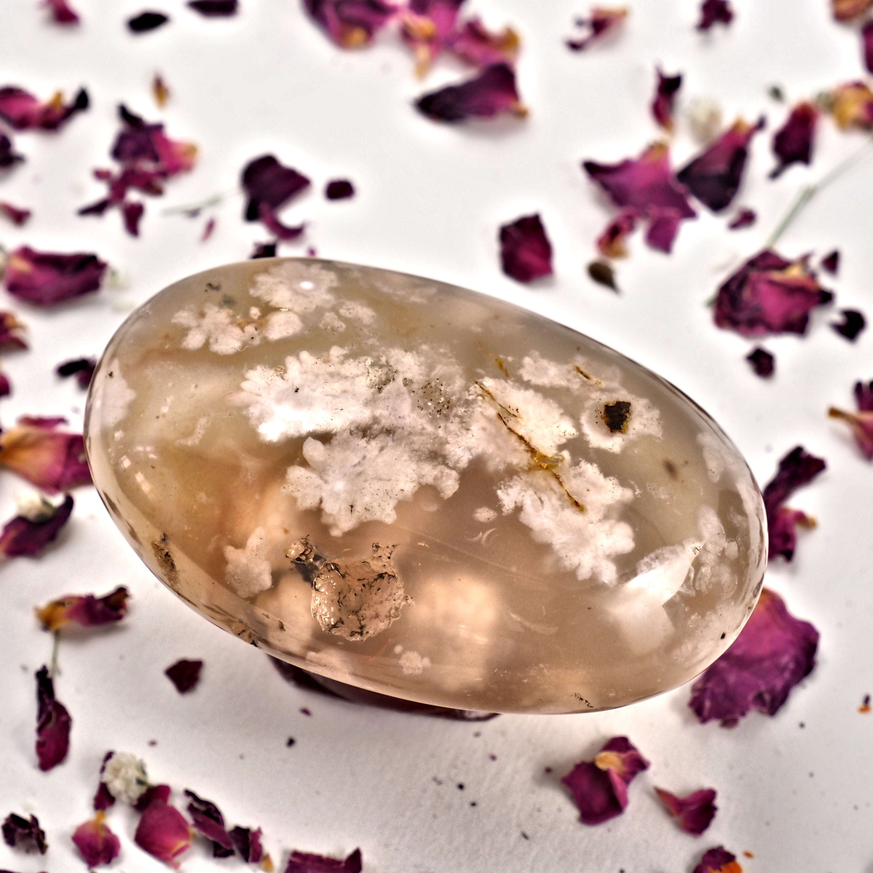 NEW! Creamy Pink & Clear Medium Flower Agate Palm Stone From Madagascar #5 - Earth Family Crystals