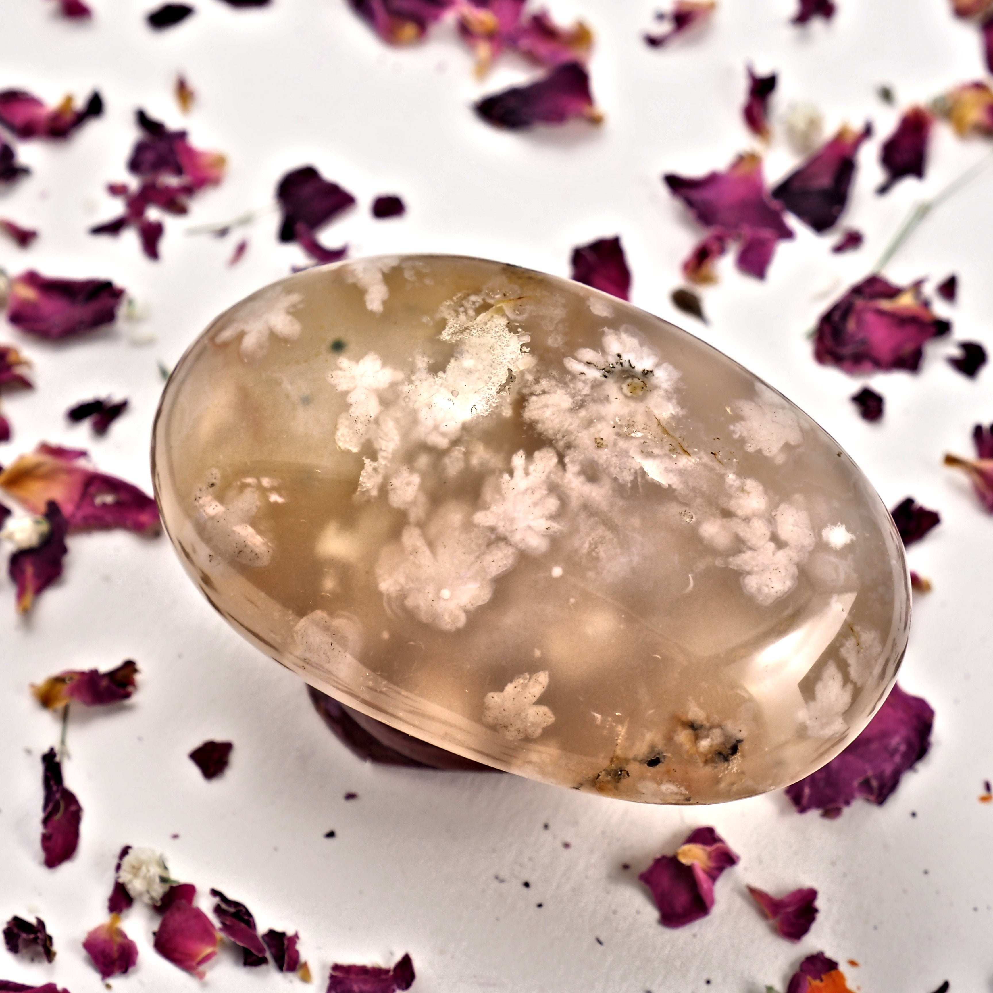 NEW! Creamy Pink & Clear Medium Flower Agate Palm Stone From Madagascar #5 - Earth Family Crystals