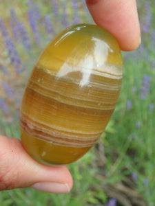 Smooth & Soothing Golden Fluorite Egg Shape Specimen 2 - Earth Family Crystals