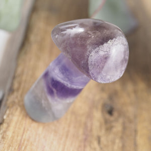 Whimsical Rainbow Fluorite Mushroom Standing Display Carving - Earth Family Crystals