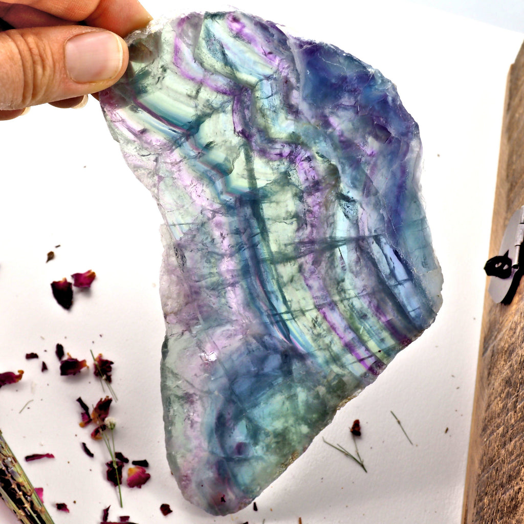 Beautiful Optical Rainbow Fluorite Large Slice Partially Polished - Earth Family Crystals